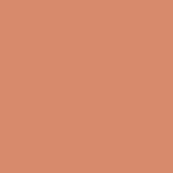 CARTULINA A3 CORAL 185G PACK 50 CANSON
