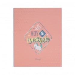 CARPETA MOTIVACIONAL LO VOY A CONSEGUIR MR WONDERFUL