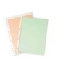 FUNDAS MULTITALADRO PP 90 MICRAS FOLIO PARDO