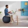 BOLA ASIENTO ACTIVE LEITZ ERGO COSY 65cm