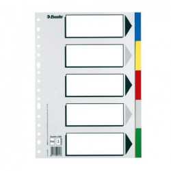 SEPARADORES ESSELTE 5 POSICIONES A4 COLORES VIVOS